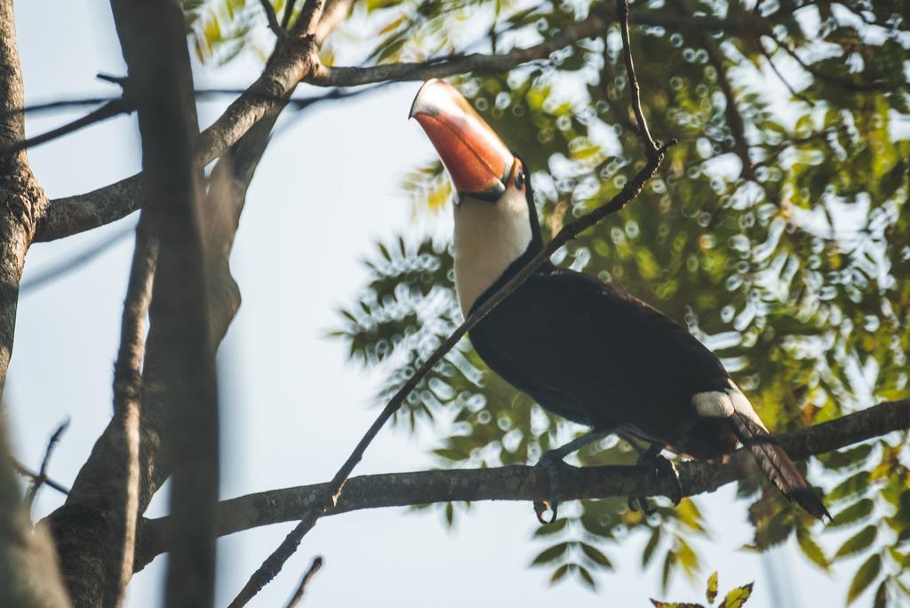 Pousada Do Peralta Bonito  Kültér fotó